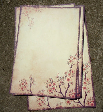 Plum Blossom flower Paper